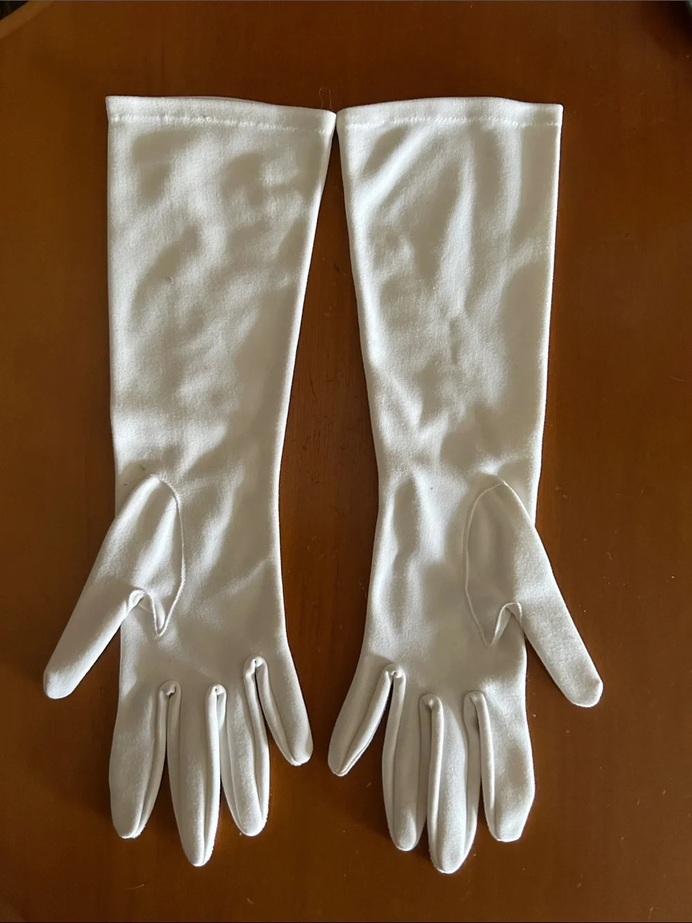 Vintage Embroidered Long Gloves